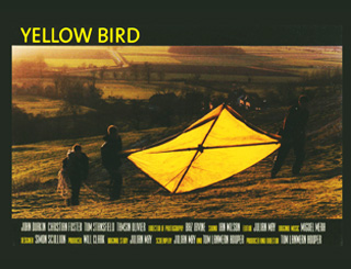 Yellow Bird